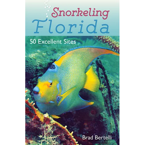 Snorkeling Florida: 50 Excellent Sites