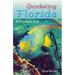 Snorkeling Florida: 50 Excellent Sites