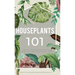 Houseplants 101: How to choose, style, grow and nurture your indoor plants.