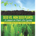 Seed vs. Non Seed Plants A Lesson on Plant Life Cycles Life Science Biology 5th Grade Children's Biology Books