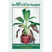How Not to Kill Your Houseplants: The Foolproof Guide to Lush, Healthy Plants
