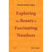 Exploring the Beauty of Fascinating Numbers