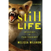 Still Life: Adventures in Taxidermy