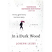 In a Dark Wood: A Memoir