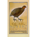 That Quail, Robert