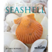 Next Time You See a Seashell