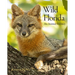 Wild Florida: An Animal Odyssey