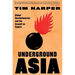 Underground Asia: Global Revolutionaries and the Assault on Empire