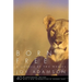 Born Free: A Lioness of Two Worlds