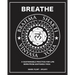 Brahma Shakti Vinyasa Yoga. A sustainable practice for life. Born from Ashtanga