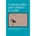 Coastal Waders and Wildfowl in Winter