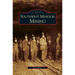 Southwest Missouri Mining