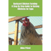 Backyard Chicken Farming: A Step By Step Guide to Raising Chickens for Eggs