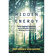Hidden Energy: Tesla-inspired inventors and a mindful path to energy abundance
