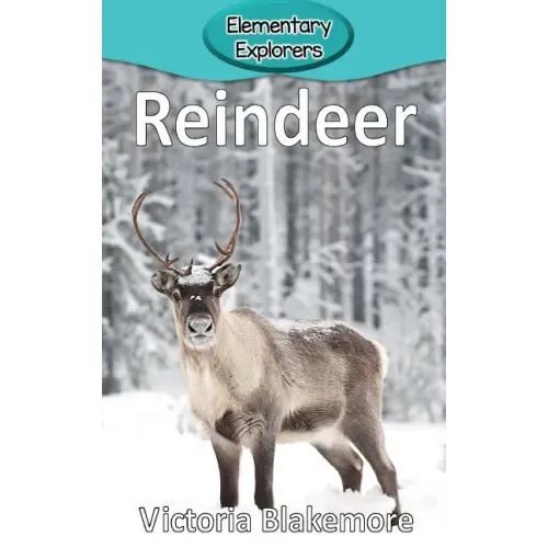 Reindeer