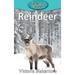 Reindeer