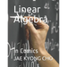 Linear Algebra: in Comics
