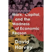 Marx, Capital, and the Madness of Economic Reason