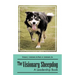 The Visionary Sheepdog: A Leadership Book