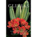 Clivias