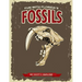 Fun With Florida's Fossils: A Learning Workbook for Young Paleontologists