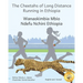 The Cheetahs of Long Distance Running: Legendary Ethiopian Athletes in Somali and English