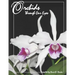 Orchids Through Our Eyes