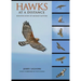 Hawks at a Distance: Identification of Migrant Raptors