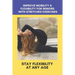 Improve Mobility & Flexibility For Seniors With Stretches Exercises: Stay Flexibility At Any Age: Back Stretching Exercises For Seniors