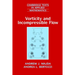 Vorticity and Incompressible Flow