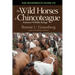 The Hoofprints Guide to the Wild Horses of Chincoteage National Wildlife Refuge