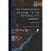 The Comparative Anatomy Of The Domesticated Animals: Osteology And Arthrology, Part 1