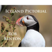 Iceland Pictorial
