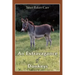 An Extravagance of Donkeys