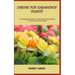 Caring for Kalanchoe Plants: A Complete Guide To Cultivating And Caring For Kalanchoe Varieties