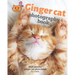 Ginger cat photography book: High quality ginger cat photo book