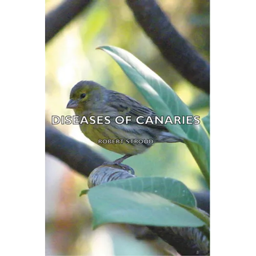 Diseases of Canaries
