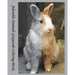 Adorable Animals Grayscale Coloring Book: Stunning Grayscale Images, (Perfect For Beginners And Animal Lovers)