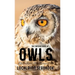The Concise Book of Owls: A Guide to Nature's Most Mysterious Birds