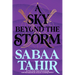 A Sky Beyond the Storm
