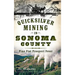 Quicksilver Mining in Sonoma County: Pine Flat Prospect Fever