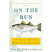 On the Run: An Angler's Journey Down the Striper Coast