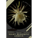 Night-Blooming Cereus: Plant Guide