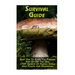 Survival Guide: Best Tips To Avoid The Pursuer And Go Off The Grid + TOP Secrets Of Finding Edible Wild Plants And Mushrooms: (How To