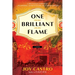 One Brilliant Flame