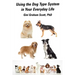 Using the Dog Type System in Your Everyday Life: Even More Ways to Gain Insight and Advice from Your Dogs