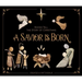 A Savior Is Born: Rocks Tell the Story of Christmas