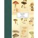 Vintage Prints: Mushrooms: Vol. 2