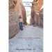 Closing the Chasm: Letters from a Bipolar Physician to His Son
