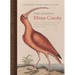 The Curious Mister Catesby: A Truly Ingenious Naturalist Explores New Worlds